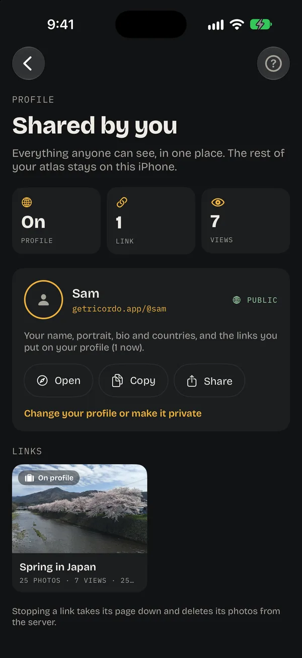 Shared by you: the public profile on, 1 link, 7 views, and Spring in Japan on the profile. Stopping a link takes its page down and deletes its photos from the server.